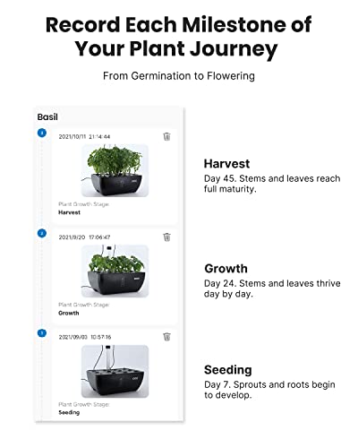 iDOO Indoor Garden Hydroponics Growing System 12Pods