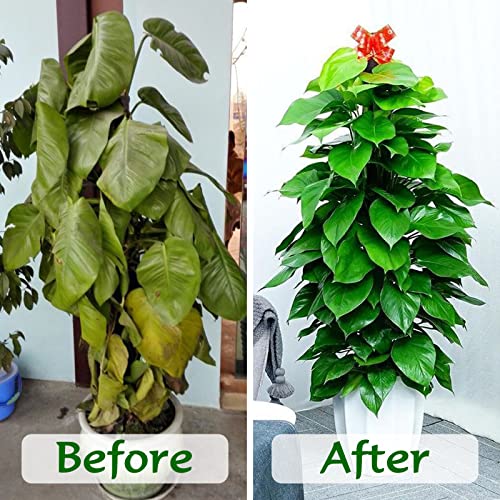 Organic Coco Coir Bricks for Hydroponic Plants