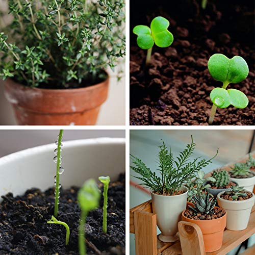 Organic Coco Coir Bricks for Hydroponic Plants