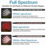 DICCEAO 150W Full Spectrum Grow Light System
