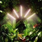 DICCEAO 150W Full Spectrum Grow Light System