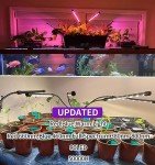 LEOTER Indoor Grow Light with Adjustable Gooseneck