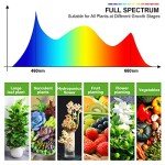 DICCEAO 150W Full Spectrum Grow Light System