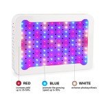 Beelux 1000W Full Spectrum LED Grow Light