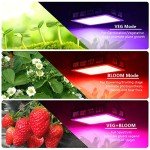 Beelux 1000W Full Spectrum LED Grow Light