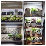 LED Grow Light Strips for Indoor Plants - 2 Pack