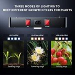 BESTVA 2024 DC2000 LED Grow Light System