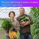 Uallhome 200W LED Grow Light Panel, 2 Pack