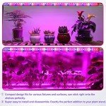 LED Grow Light Strips for Hydroponics and Succulents