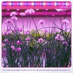 LED Grow Light Strips for Hydroponics and Succulents