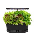 AeroGarden Bounty Basic Indoor Hydroponic Garden