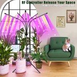 5-Head Full Spectrum Grow Light with Tripod