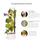 Hydroponic Indoor Garden Kit with 16 Plants