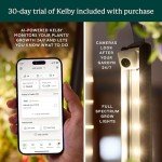 Hydroponic Indoor Garden Kit with 16 Plants