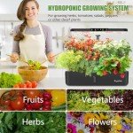 Indoor Hydroponic Herb Garden Kit with LED Lights