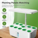 Indoor Hydroponic Garden with LED Grow Light