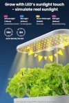 inBloom 12-Pod Indoor Hydroponic Garden System