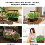 Indoor Hydroponic Garden Kit with LED Grow Light