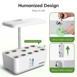 Indoor Hydroponic Garden with LED Grow Light