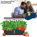 Indoor Hydroponic Garden Kit with LED Grow Light