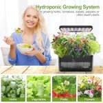 Indoor Hydroponic Herb Garden Kit with LED Light