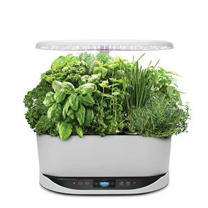 Indoor AeroGarden Bounty Hydroponic Herb Kit