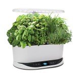 Indoor AeroGarden Bounty Hydroponic Herb Kit