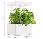 Indoor Hydroponic Grow Kit with Organic Seeds
