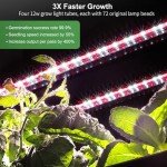 Vertical Hydroponic Garden Kit with LED Grow Light