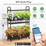 Vertical Hydroponic Garden Kit with LED Grow Light