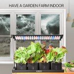 iDOO 20-Pod Indoor Hydroponic Garden System