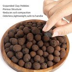 Boniosz 2L Expanded Clay Pebbles for Hydroponics