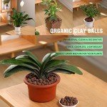 Organic Clay Pebbles for Hydroponics and Gardening