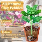 Organic Expanded Clay Pebbles for Hydroponics & Aquaponics