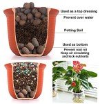 Boniosz 2L Expanded Clay Pebbles for Hydroponics