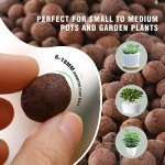 Organic Clay Pebbles for Hydroponics and Gardening