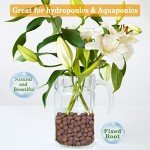 Organic Expanded Clay Pebbles for Hydroponics & Aquaponics
