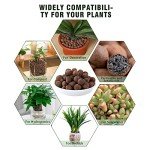 Organic Clay Pebbles for Hydroponics and Gardening