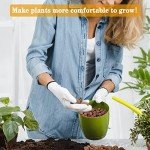 Organic Expanded Clay Pebbles for Hydroponics & Aquaponics