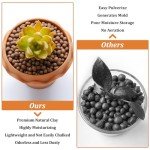 Organic Expanded Clay Pebbles for Hydroponics - 10 lbs