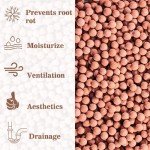 Natural Clay Pebbles for Hydroponics - 15oz Bag