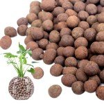 5LB Leca Clay Pebbles for Indoor Plant Growth