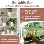 Natural Clay Pebbles for Hydroponics - 15oz Bag