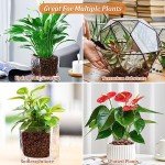 Organic Expanded Clay Pebbles for Hydroponics - 10 lbs