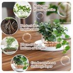 Natural Clay Pebbles for Hydroponics - 15oz Bag