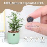 5LB Leca Clay Pebbles for Indoor Plant Growth