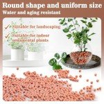 Natural Clay Pebbles for Hydroponics - 15oz Bag