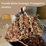 5LB Leca Clay Pebbles for Indoor Plant Growth