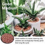 5LB LECA Expanded Clay Pebbles for Hydroponics