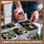 Natural Clay Pebbles for Hydroponics - 15oz Bag